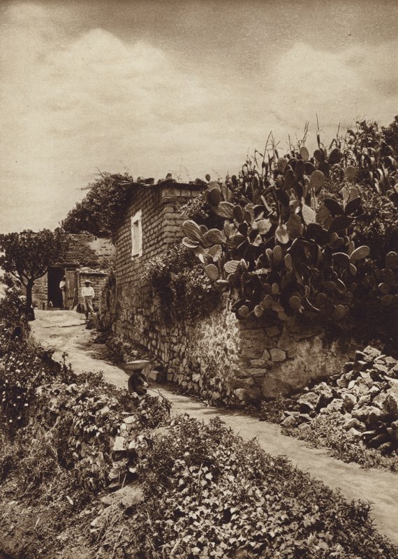 Mexico: Rincon pintoresco en San Angel D F (b/w photo) de Hugo Brehme