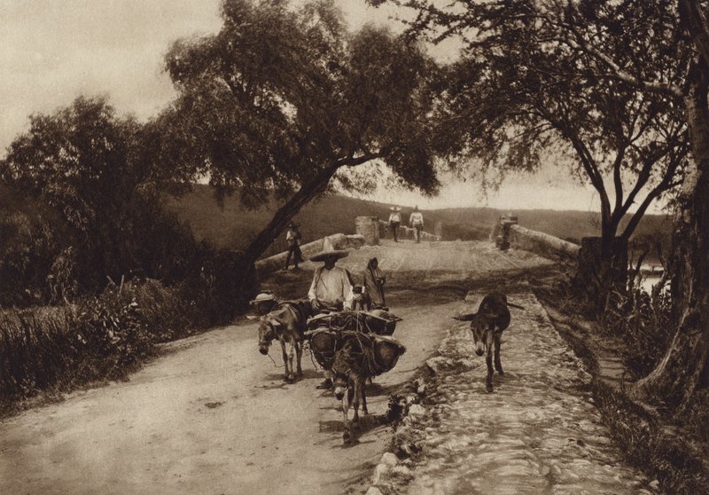 Mexico: Una carretera en las Montanas de Mejico (b/w photo) de Hugo Brehme