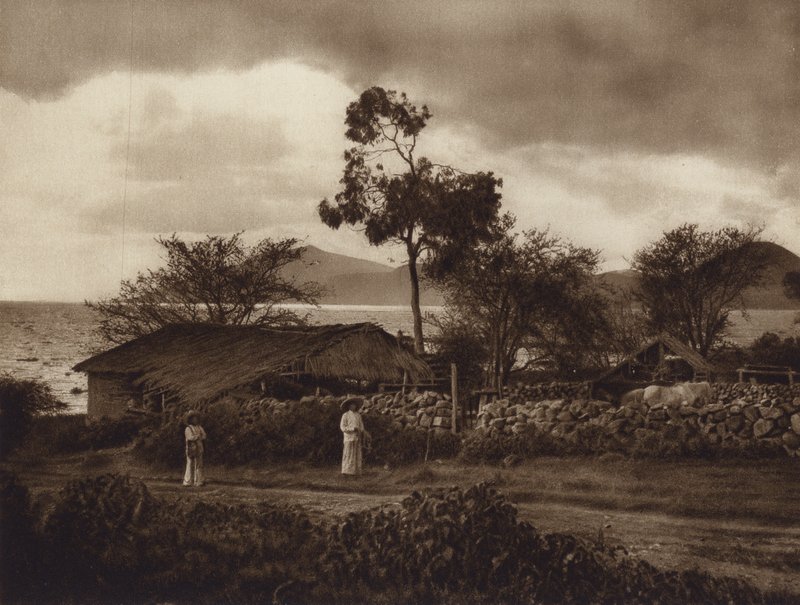 Mexico: Vista por el Lago de Chapala (b/w photo) de Hugo Brehme