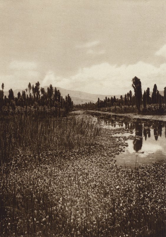 Mexico: Xochimilco, Uno de los canales principales (b/w photo) de Hugo Brehme