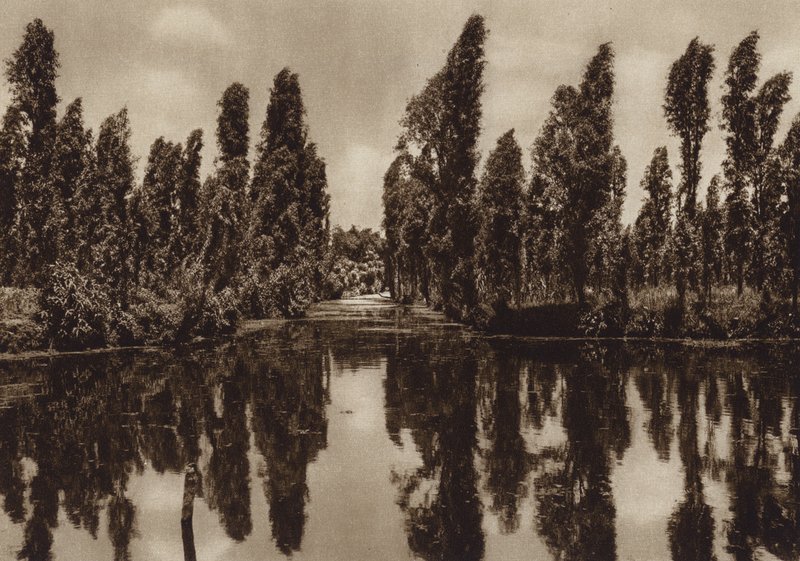 Mexico: Xochimilco con los asi llamados "Jardines flotantes" (b/w photo) de Hugo Brehme