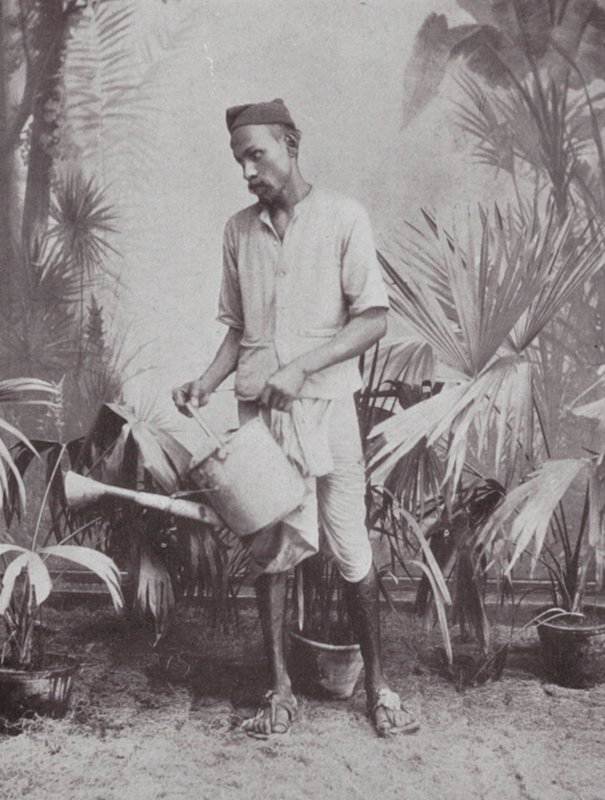 Bombay / Mumbai: Jardinero (foto b/n) de Indian photographer