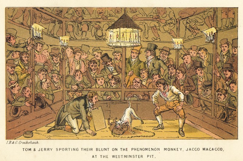 Tom y Jerry gastando su dinero en el Mono Fenómeno, Jacco Macacco, en el Pozo de Westminster de Isaac, Robert and George Cruikshank