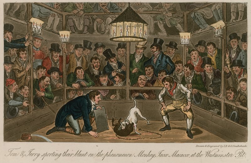 Tom y Jerry disfrutando de su blunt en el fenómeno Mono, Jacco Macacco, en el Westminster Pit de Isaac, Robert and George Cruikshank