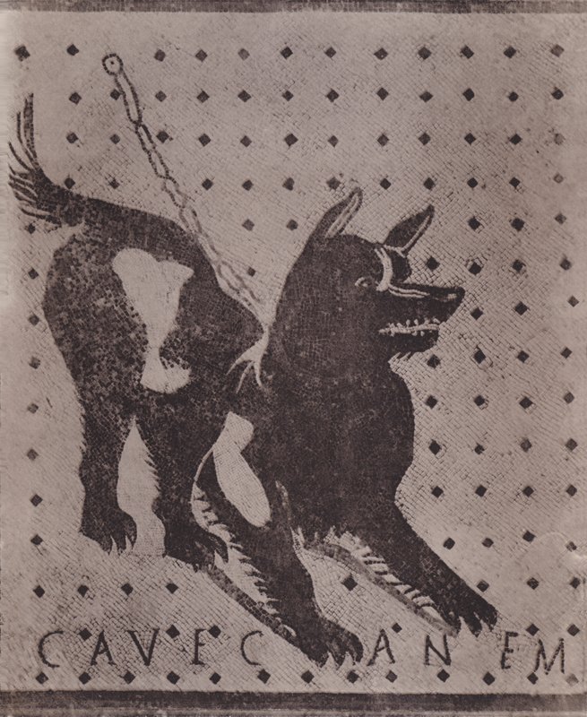 Mosaico, Cave Canem de Italian Photographer