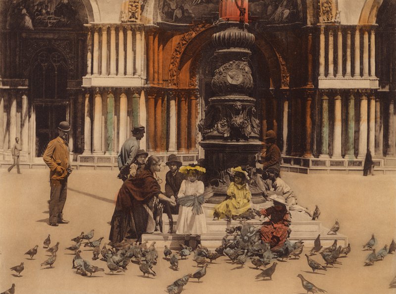 Venecia / Venice: Piccioni (foto en color) de Italian Photographer