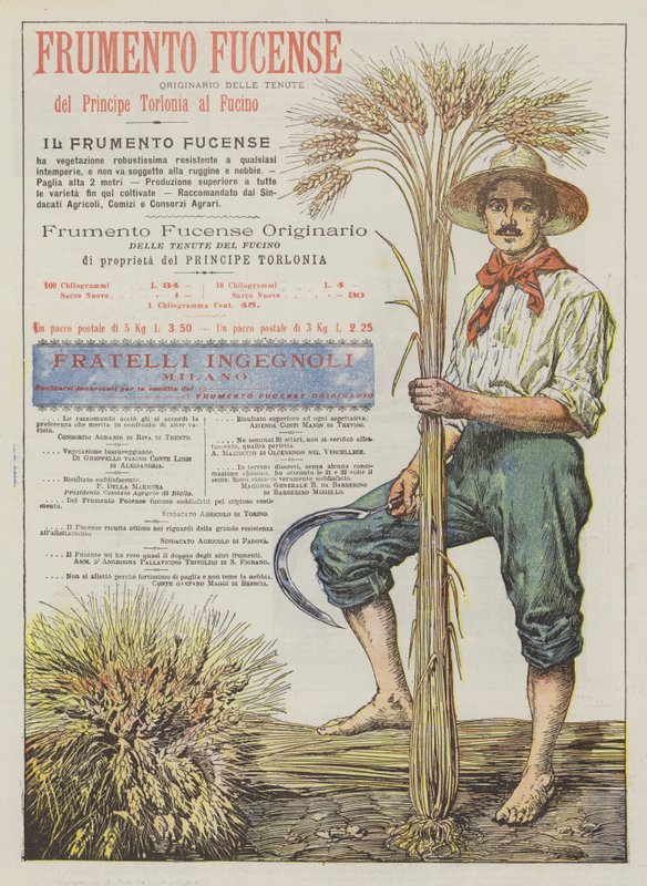 Frumento Fucense de Italian School