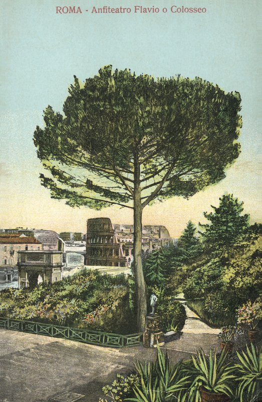 Roma, Italia, Anfiteatro y Coliseo (litografía en color) de Italian School