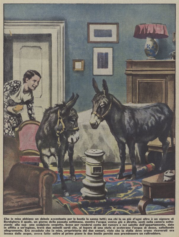 Dos burros en un apartamento en Bordighera, Italia (litografía en color) de Italian School