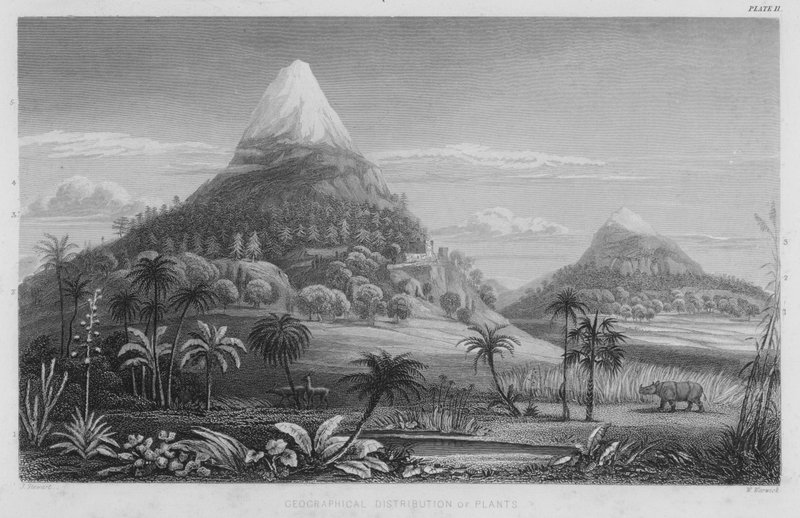 Distribución geográfica de las plantas de J. (after) Stewart