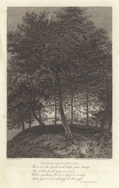 Robert Bloomfield, poeta: Fakenham desde Euston Park de J. Greig