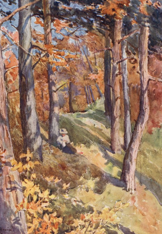 En el bosque de Sauvabelin, sobre Lausana (litografía en color) de J. Hardwicke Lewis