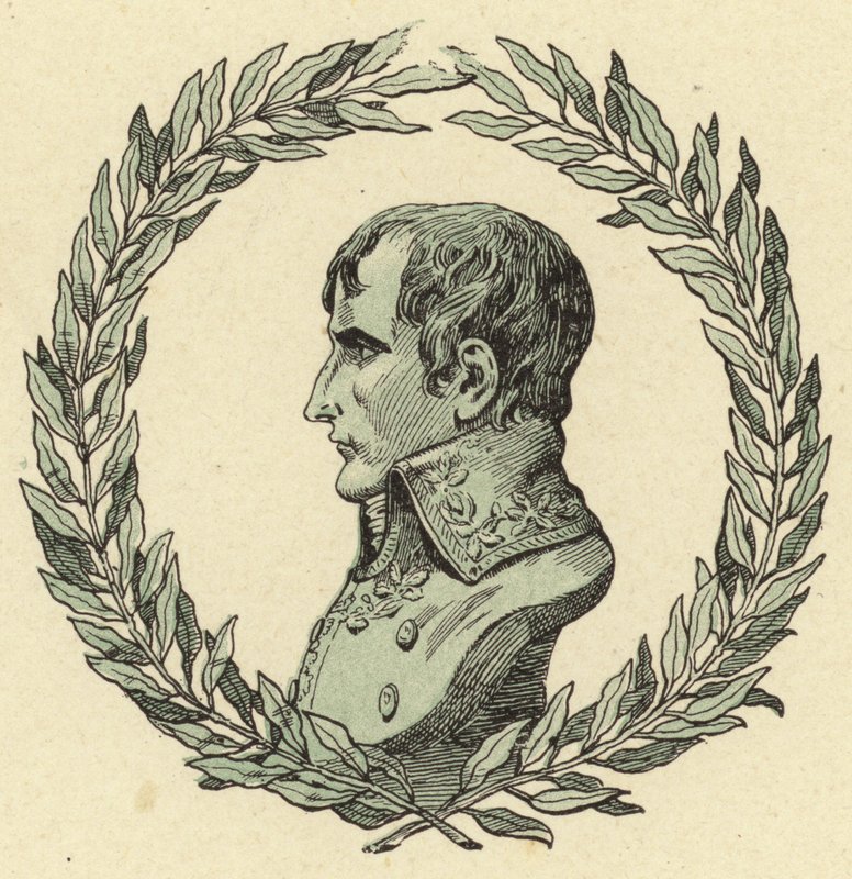 Busto de Napoleón Bonaparte de Jacques Marie Gaston Onfray de Breville (Job)