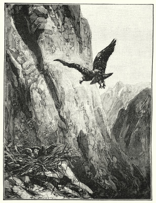 Nido de águila en el Monte Sinaí de James (after) Clark