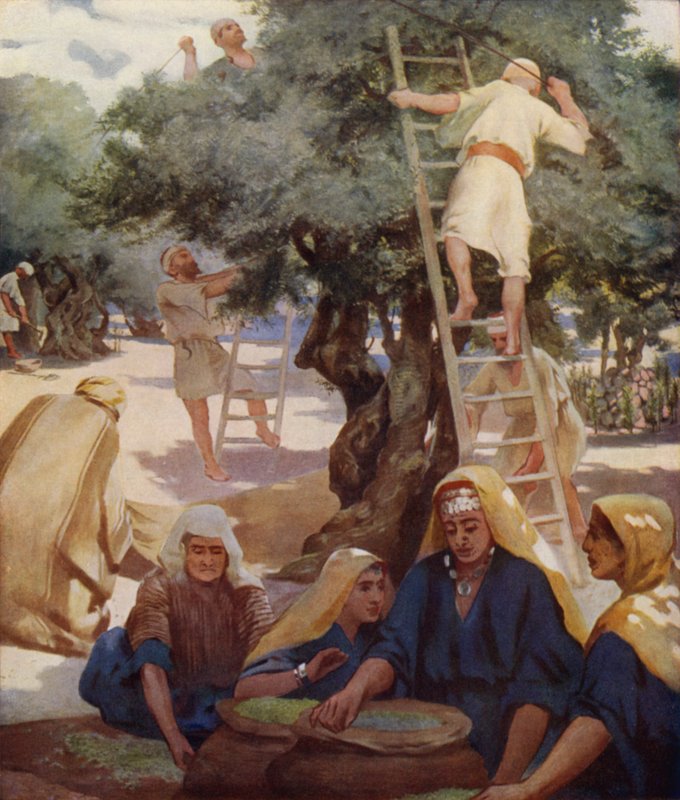 Huerto de olivos de James Clark