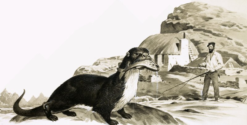 Nutria con pez y hombre pescando de James Edwin McConnell