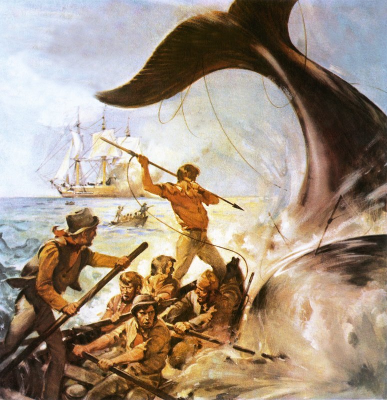 Pedro el Ballenero de James Edwin McConnell