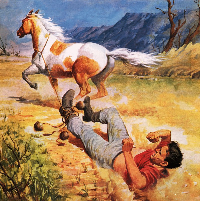 Caballo desbocado de James Edwin McConnell