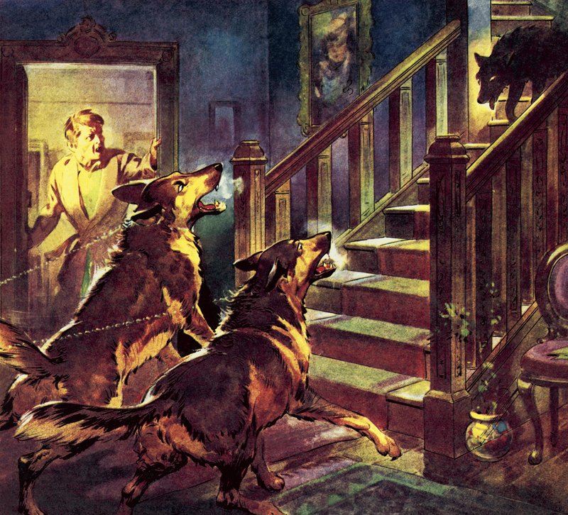 El fantasma del perro negro de James Edwin McConnell