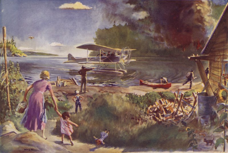 Avión y incendio forestal de James Fergus Kyle