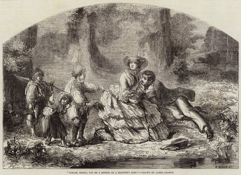 Por Favor, Señora, Está Sentada en un Nido de Avispas de James Godwin