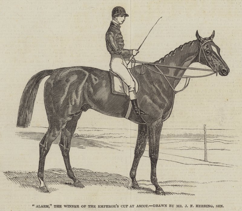 Alarm, el ganador de la Copa del Emperador en Ascot de James Herring