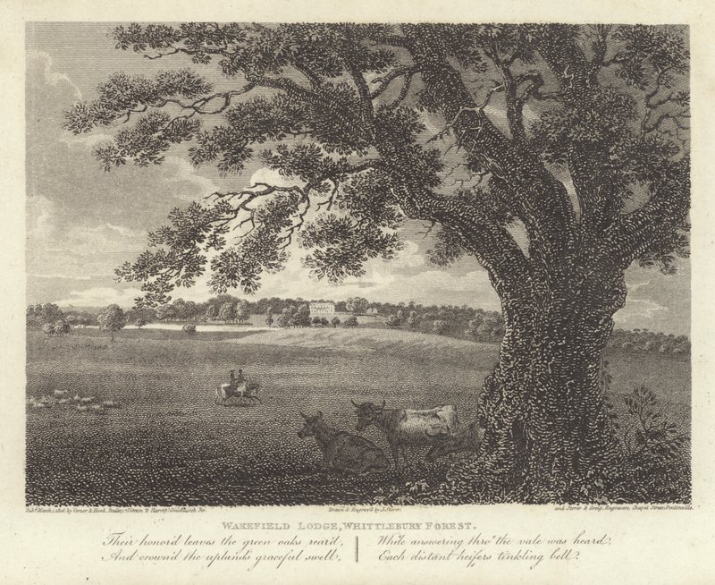 Robert Bloomfield, poeta: Wakefield Lodge, Bosque de Whittlebury (grabado) de James Storer