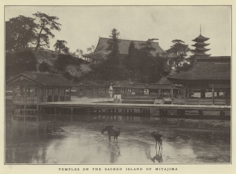 Templos en la Isla Sagrada de Miyajima de Japanese Photographer
