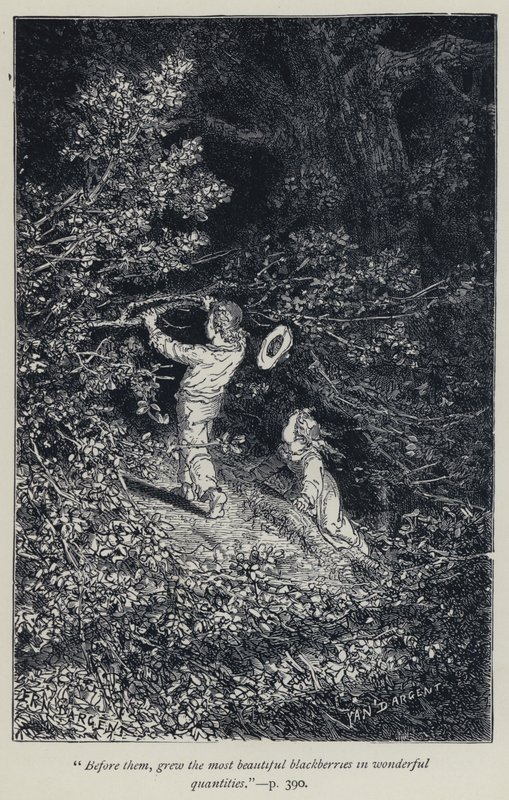 "Delante de ellos, crecían las moras más hermosas en cantidades maravillosas" (grabado) de Jean Edouard Dargent