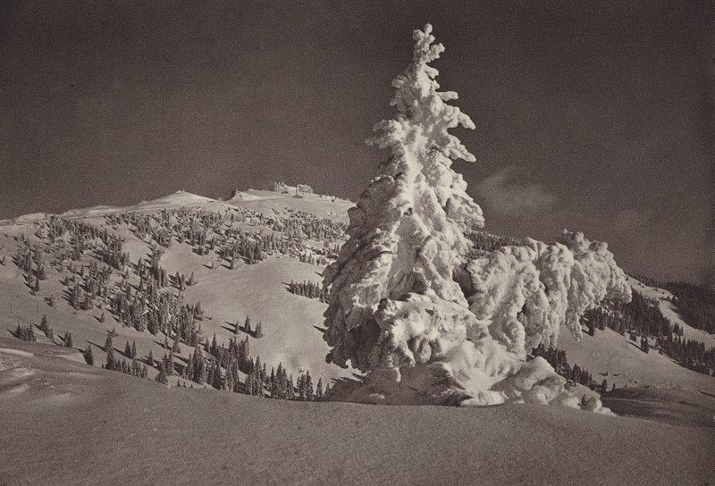 Rigi Kaltbad, zona de esquí hasta el Rigi Kulm (foto b/n) de Jean Gaberell
