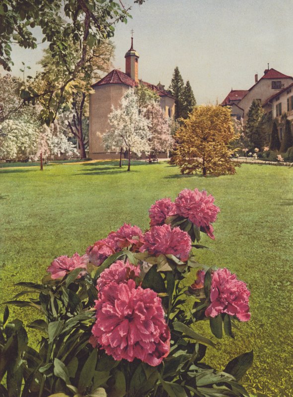 Suiza: Mammern, en el lago de Constanza, en los terrenos del sanatorio (foto en color) de Jean Gaberell
