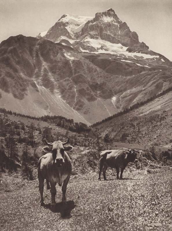 Suiza: El Todi de Jean Gaberell