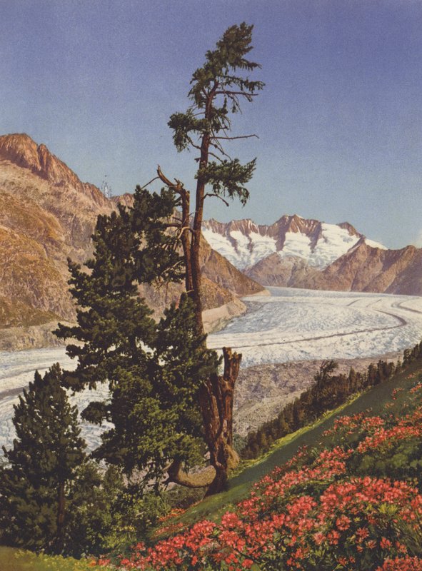 Suiza: Vista del glaciar Aletsch y del Fiescherhorner de Jean Gaberell
