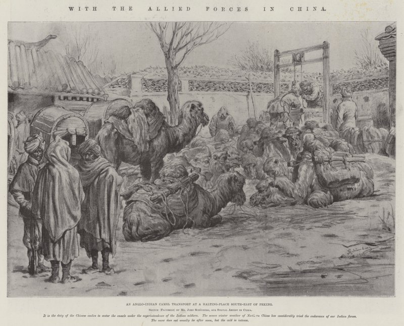 Con las fuerzas aliadas en China de Johann Nepomuk Schonberg