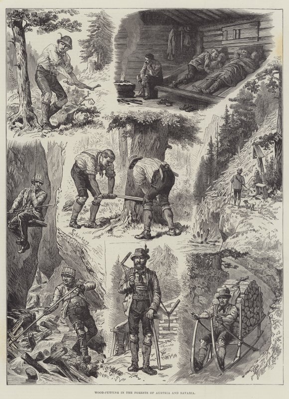 Corte de madera en los bosques de Austria y Baviera de Johann Nepomuk Schonberg