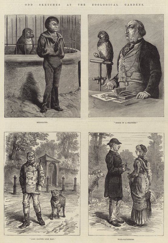 Bocetos Extraños en el Zoológico de Johann Nepomuk Schonberg