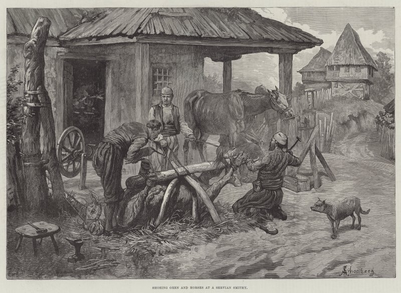 Herrando bueyes y caballos en una herrería servia de Johann Nepomuk Schonberg
