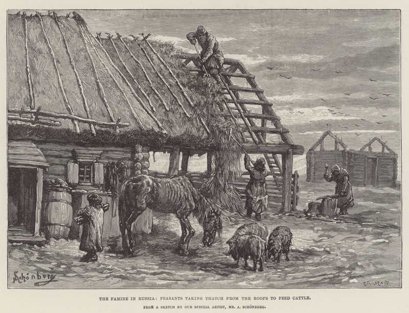 La hambruna en Rusia, campesinos tomando paja de los techos para alimentar al ganado de Johann Nepomuk Schonberg