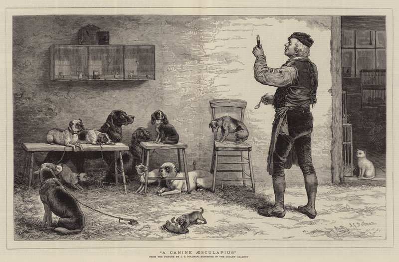 Un Esculapio canino de John Charles Dollman
