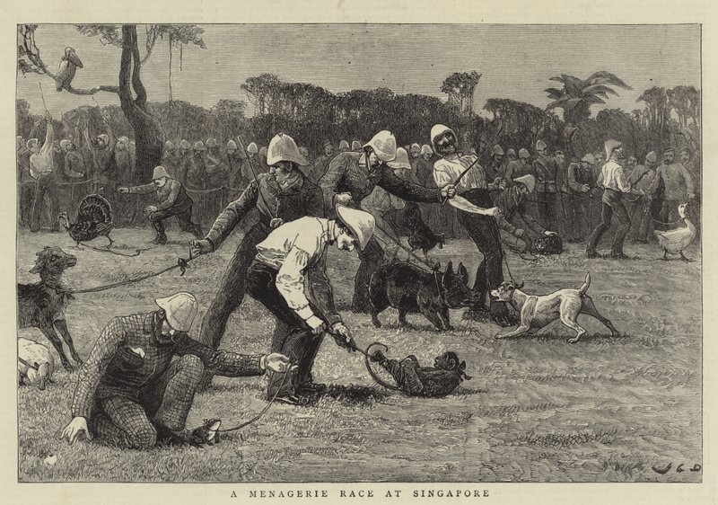 Una carrera de menagerie en Singapur de John Charles Dollman