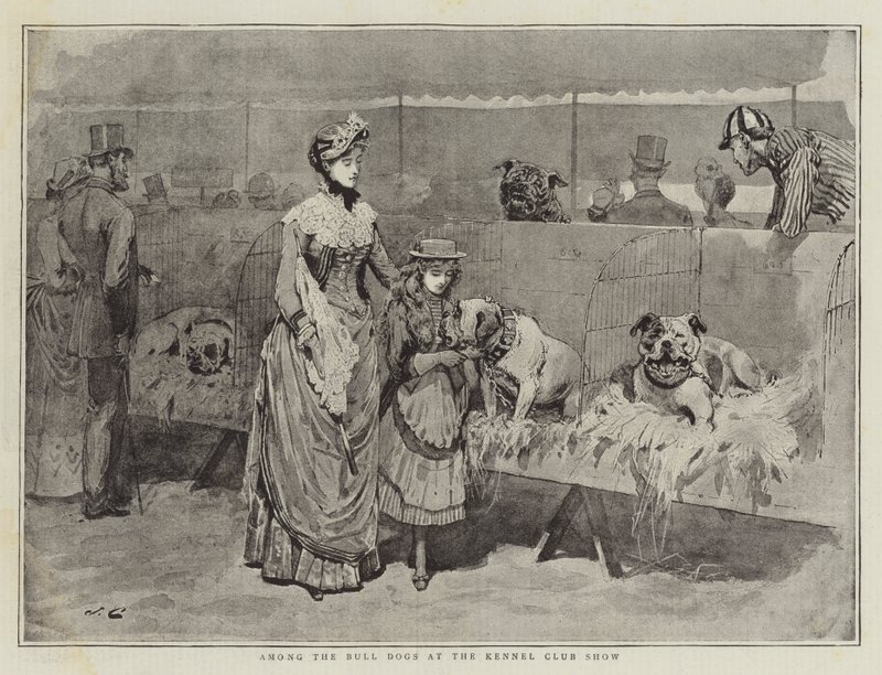 Entre los bulldogs en la exposición del Kennel Club de John Charles Dollman