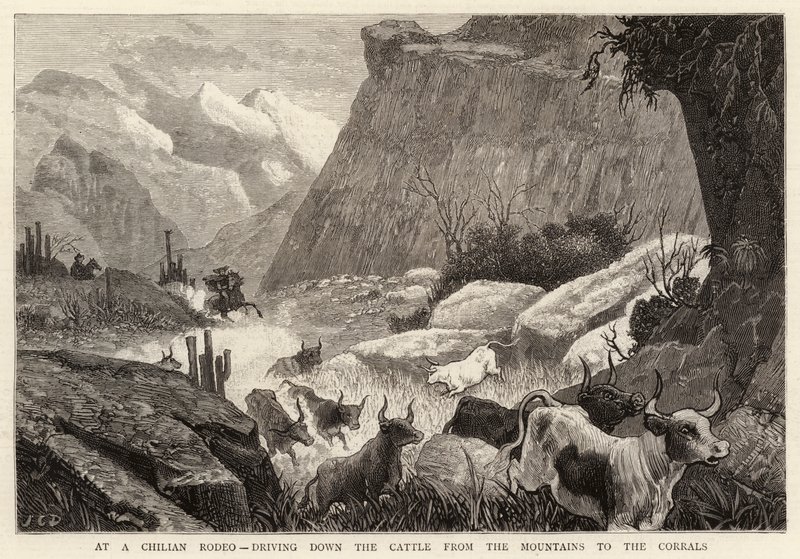 En un rodeo chileno, conduciendo el ganado desde las montañas hasta los corrales de John Charles Dollman