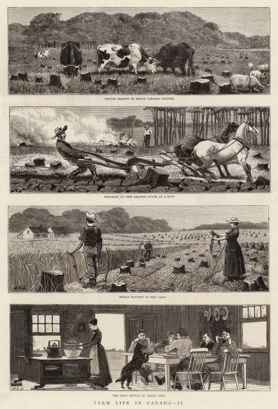 Vida en la Granja en Canadá, II de John Charles Dollman