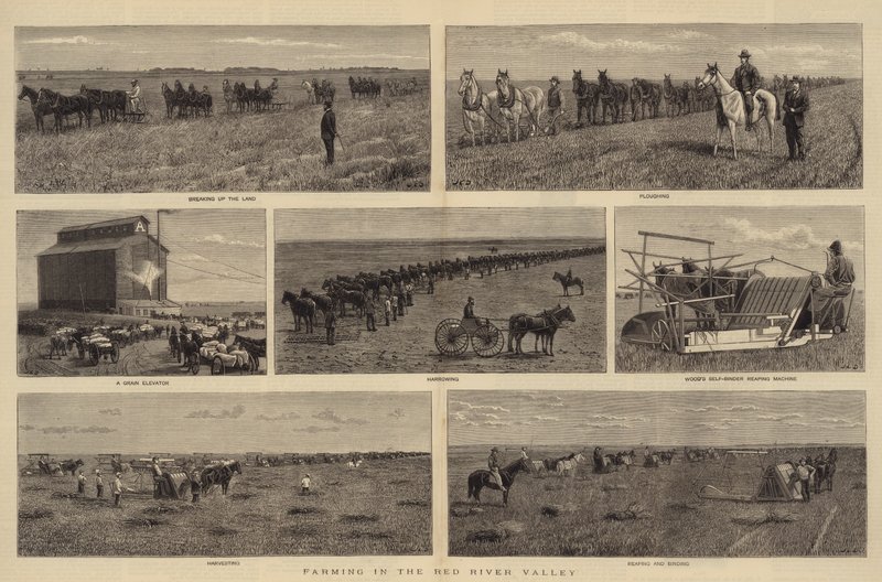 Agricultura en el Valle del Río Rojo de John Charles Dollman