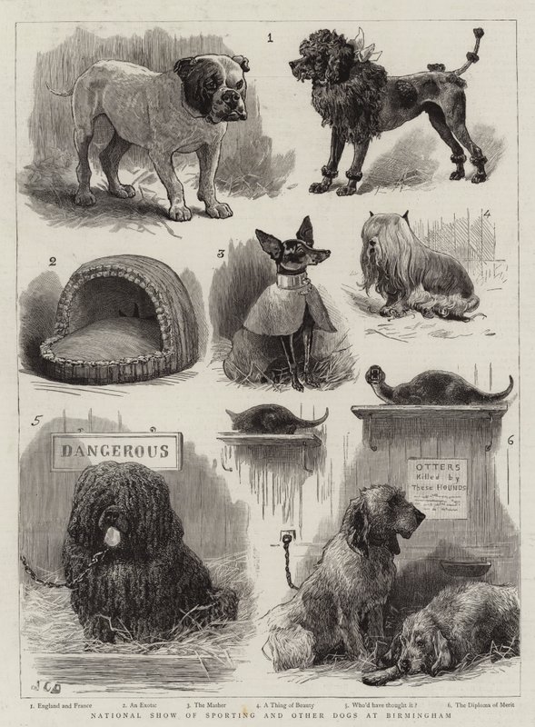 Exposición Nacional de Perros Deportivos y Otros en Birmingham de John Charles Dollman