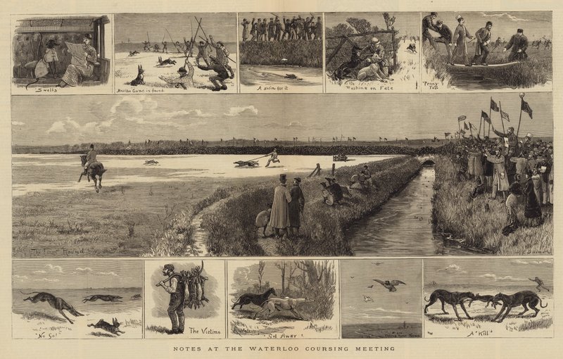 Notas en la reunión de carreras de Waterloo de John Charles Dollman