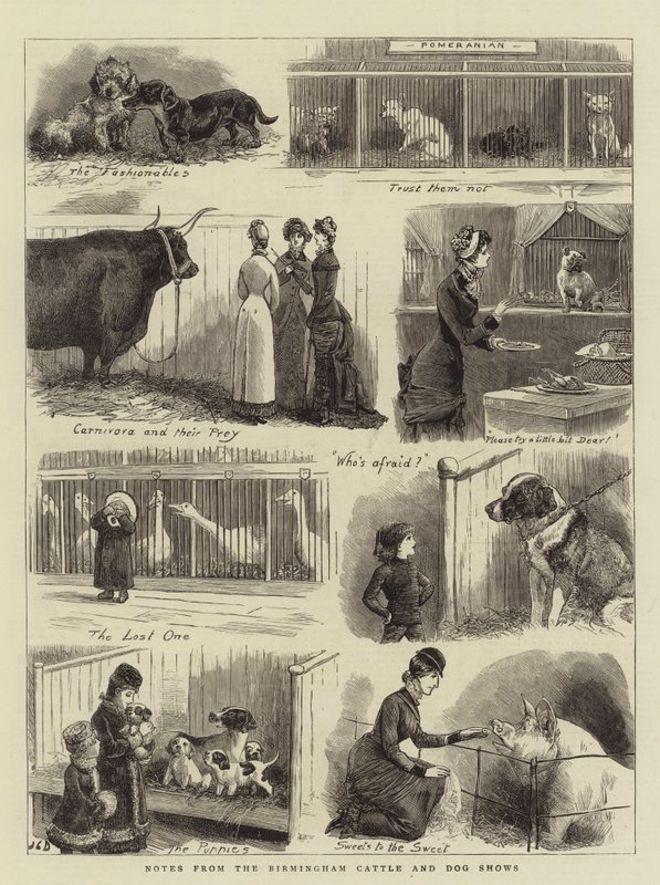 Notas de las exposiciones de ganado y perros de Birmingham de John Charles Dollman