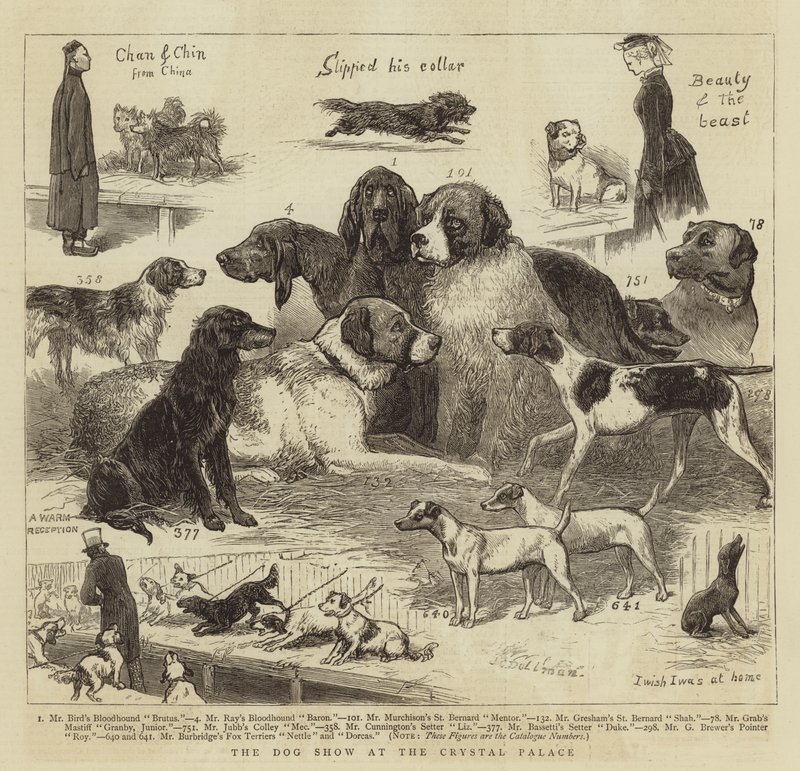 La exposición canina en el Crystal Palace de John Charles Dollman