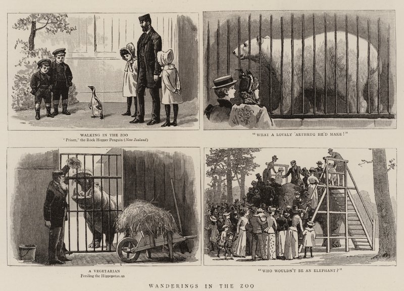 Paseos en el Zoológico de John Charles Dollman