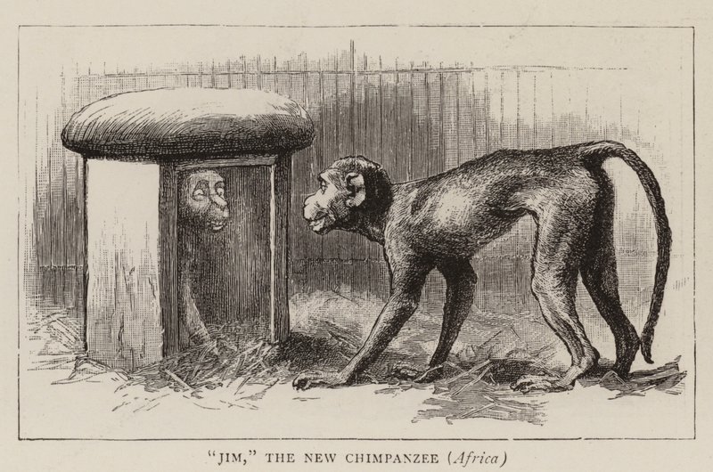 Paseos en el zoológico de John Charles Dollman